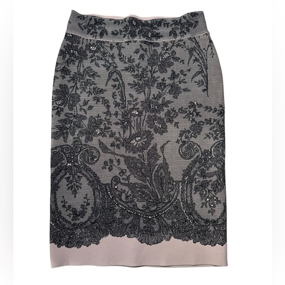 BCBG MaxAzria Scarlett Skirt Nude Combo with Black Lace Overlay Size Small - Picture 3 of 4